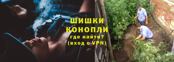 бошки Богданович