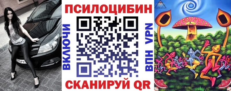 Купить Оха Псилоцибиновые грибы MAGIC MUSHROOMS